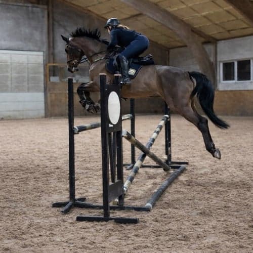 Profilbild av Ebba Brogren