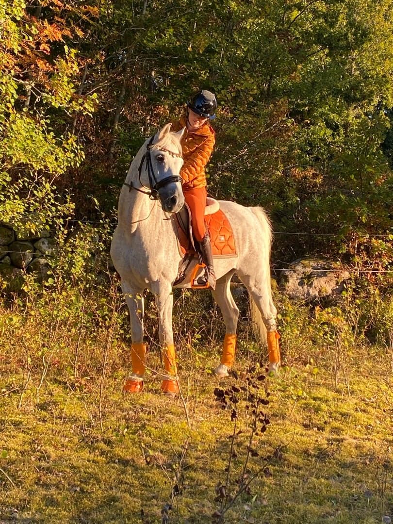 Image 1 of Electric Entertainer