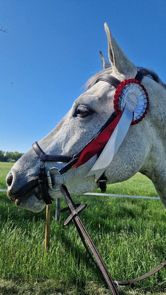 Media 2 of Little Heart