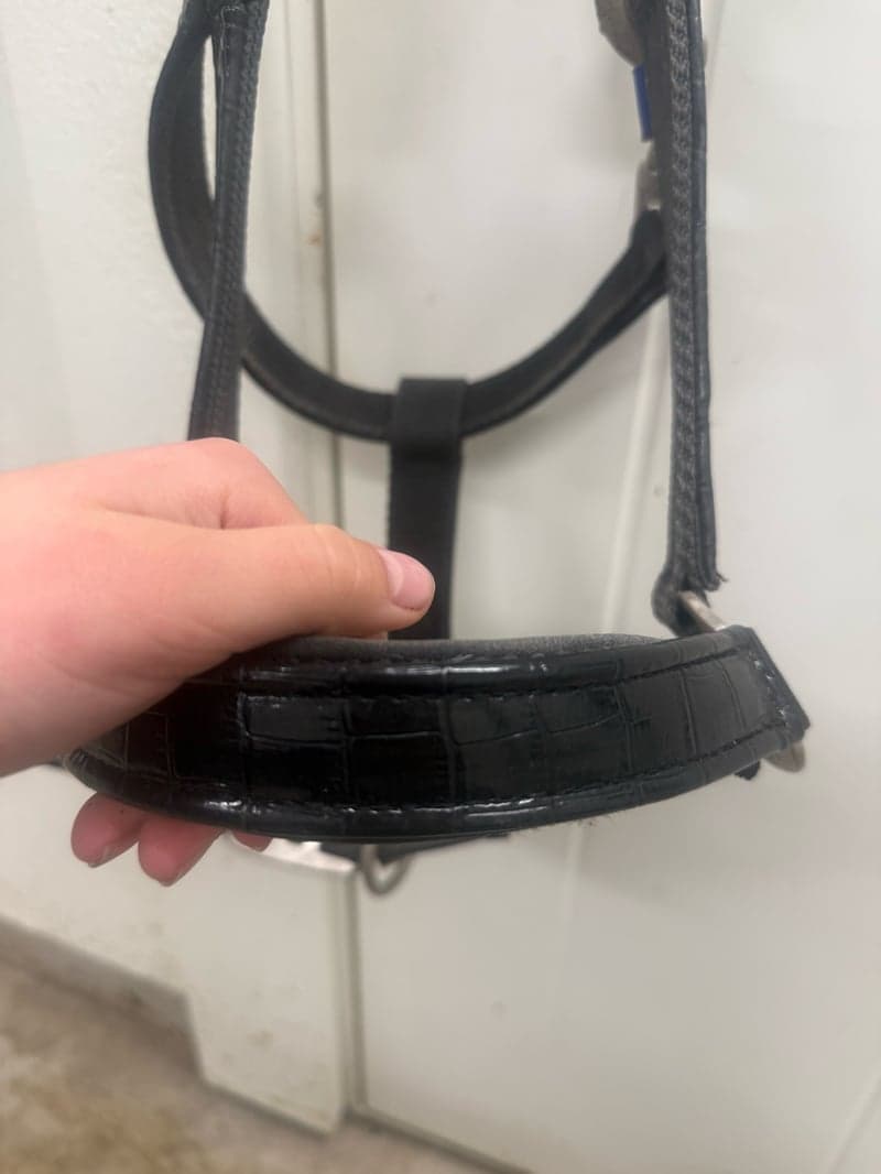 Image 3 of Svart fake läder grimma med lack/glans 