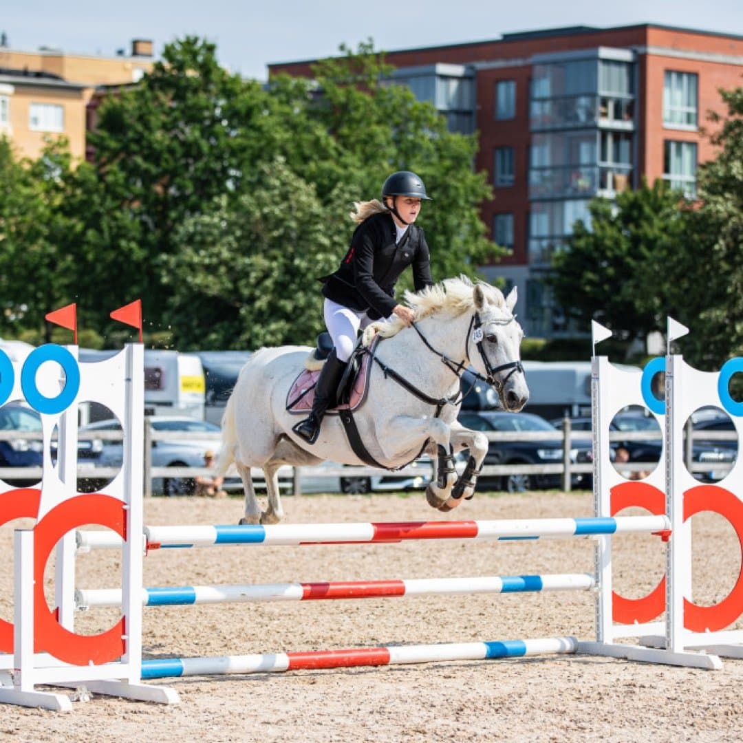 Image 1 of Glasóig an Fhaithche