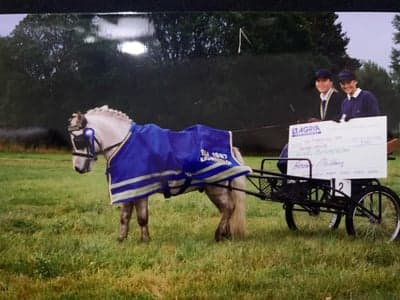 Inlägg 27 av Sportkörning med titeln SM Guld 