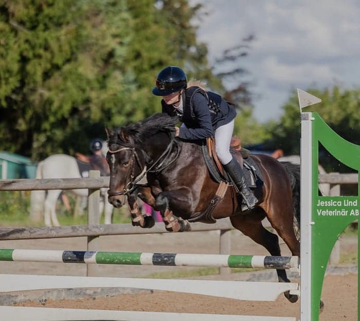 Media 3 av Ponny med power!