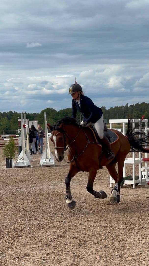 Bild 1 av placeholder text