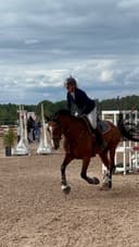 Profilbild av Royal cassili