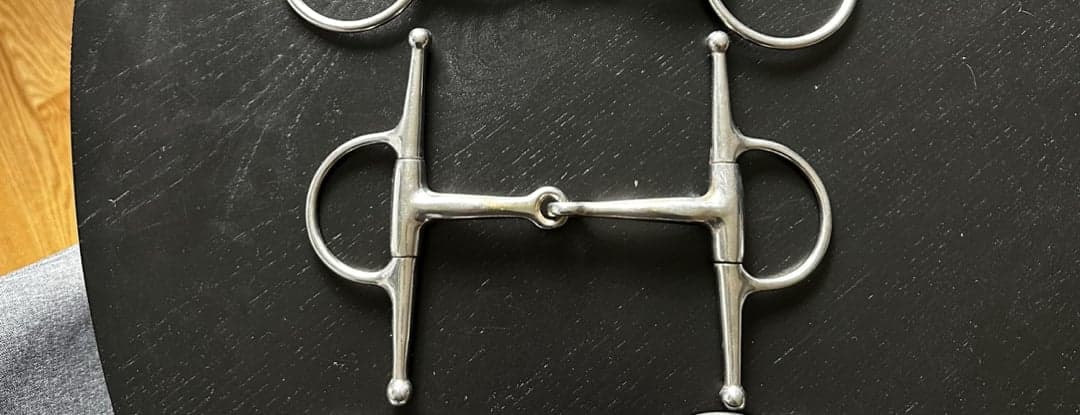 Image 1 of Silver bett