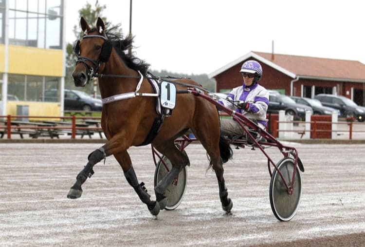 Bild 1 av Barbienett