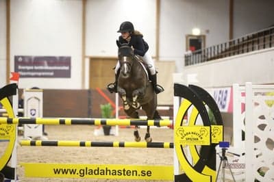 Post 7 of Selle Français