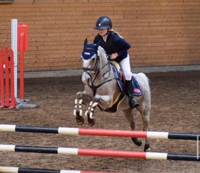 Inlägg 30 av Allround