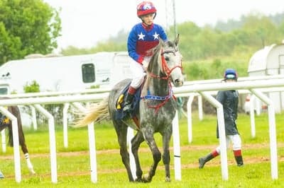 Inlägg 21 av Arabiskt Fullblod med titeln Ponnygalopp 