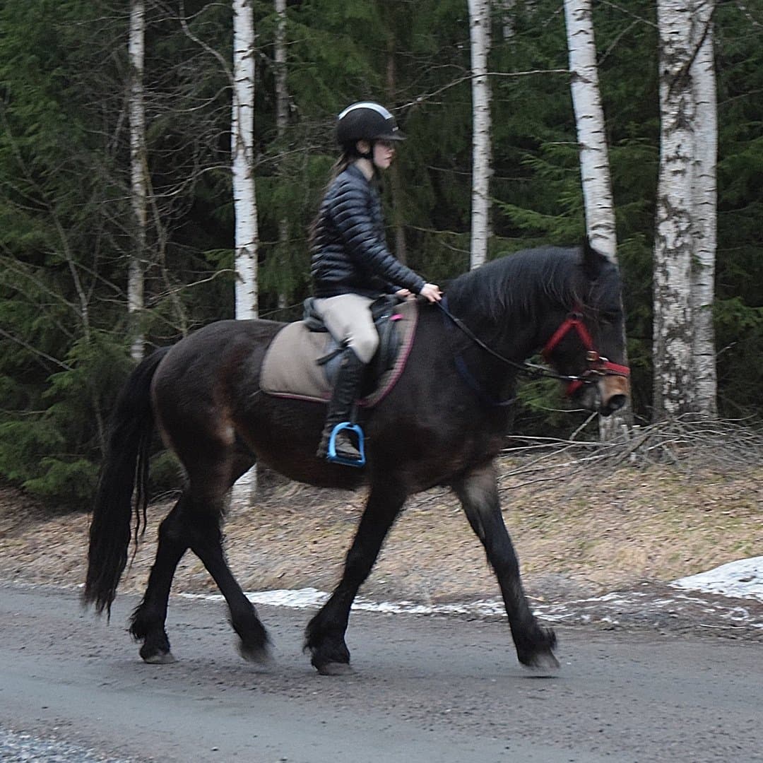 Bild 1 av Min Lilla Eldtias