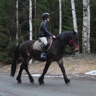 Min Lilla Eldtias