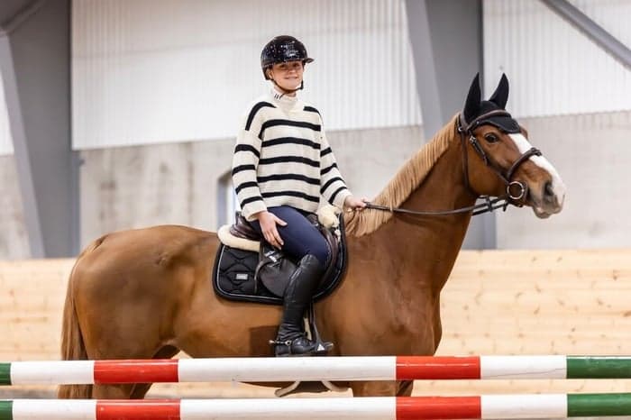 Media 4 av Inridning/tillridning – från D-ponny till häst