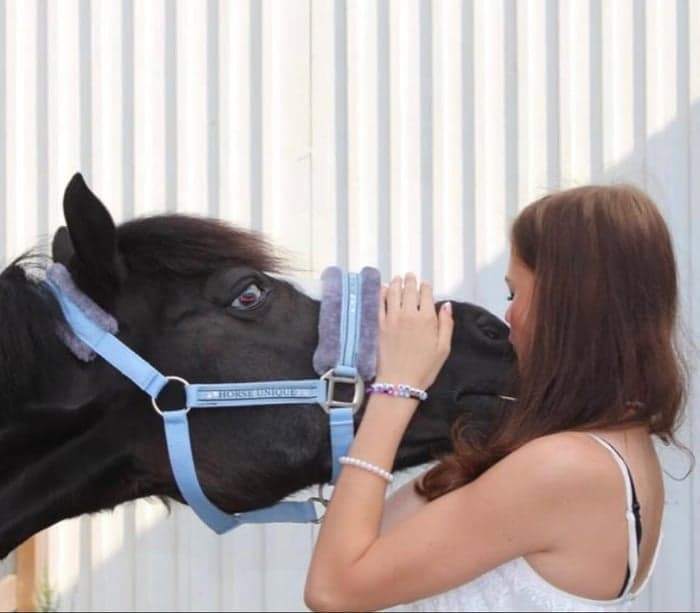 Media 1 av Horace af Sten