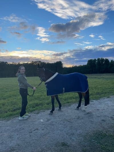 Post 24 of German Riding Pony with title 2023🥰