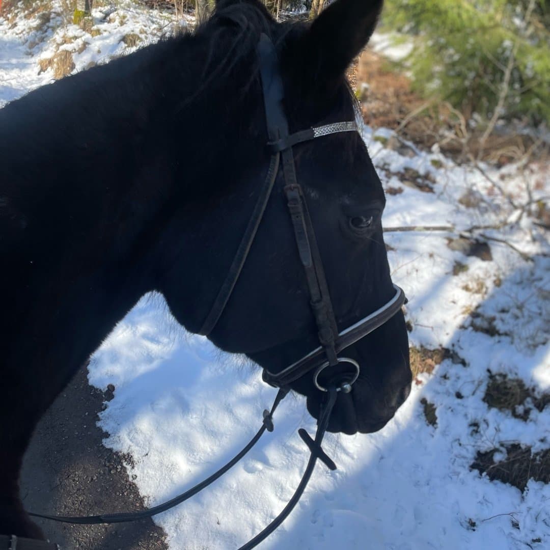 Bild 1 av Sweepers Favor