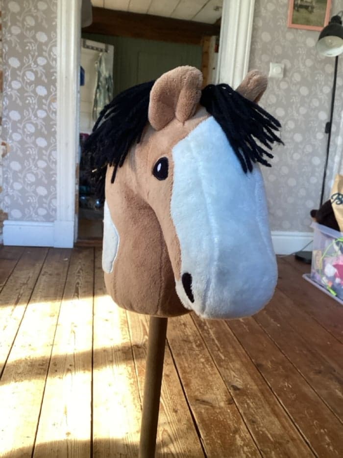 Media 2 av Brun,vit käpphäst 