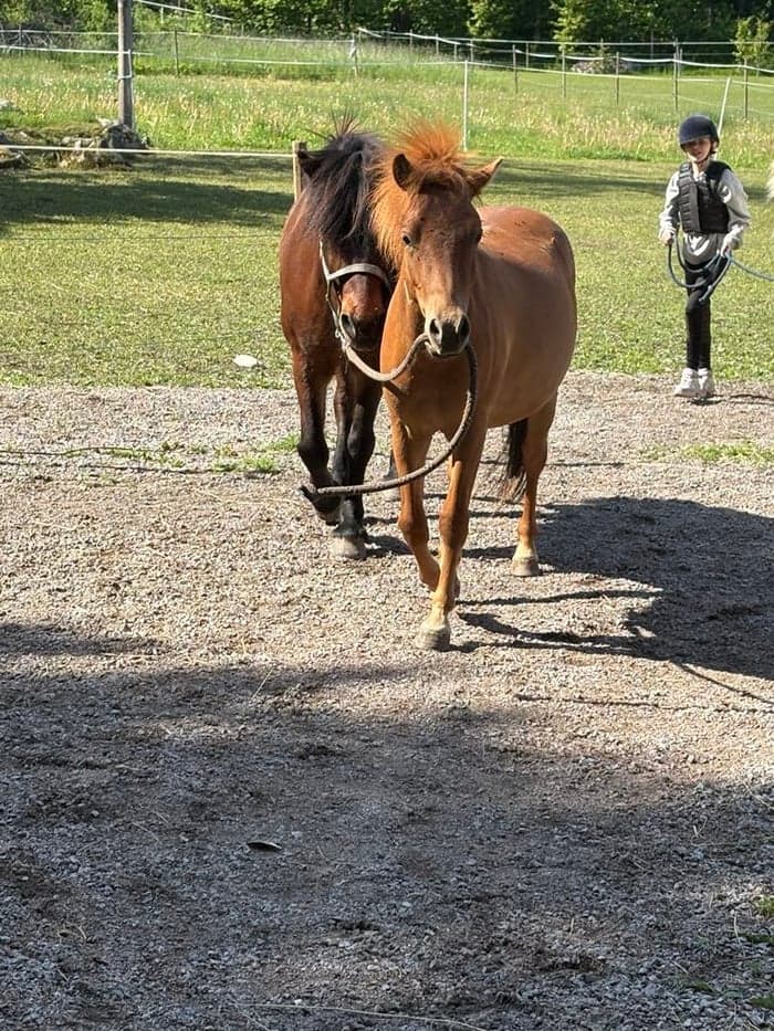 Media 2 av Min Lilla Eldboll