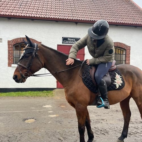 Profilbild av evelina alm