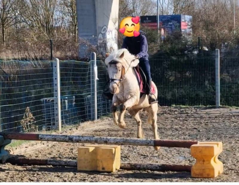 Bild 3 av Tryggt B-ponnysto