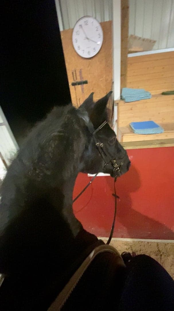 Bild 3 av Ängsgårdenen sonny