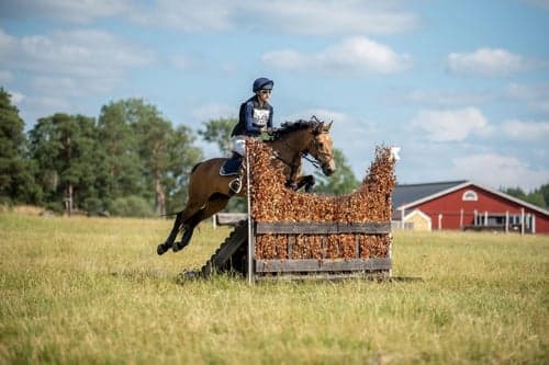 Bild av Fantastisk fälttävlansponny