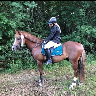 Inlägg 240 av Hoppning med titeln Tävling❤️