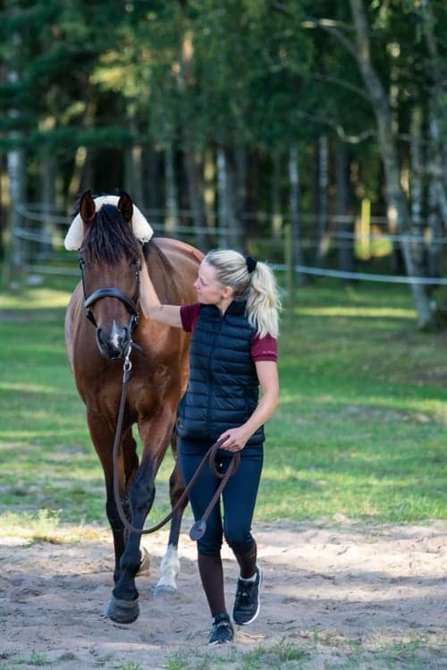 Försäljning av ponny eller häst inkl. uppstallning