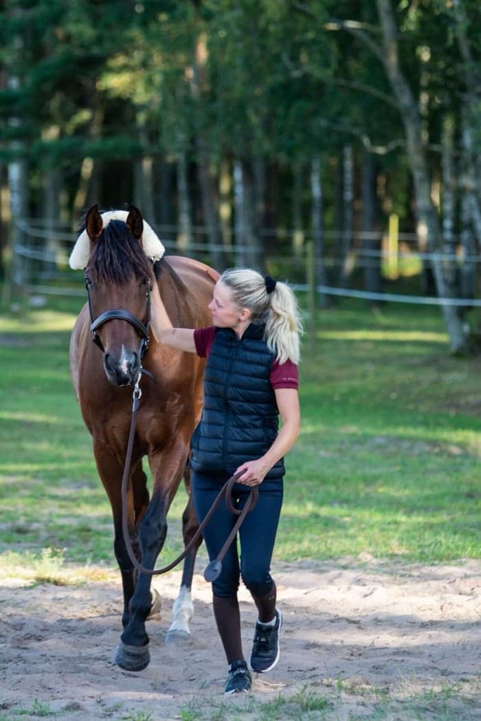 Media 1 av Försäljning av ponny eller häst inkl. uppstallning
