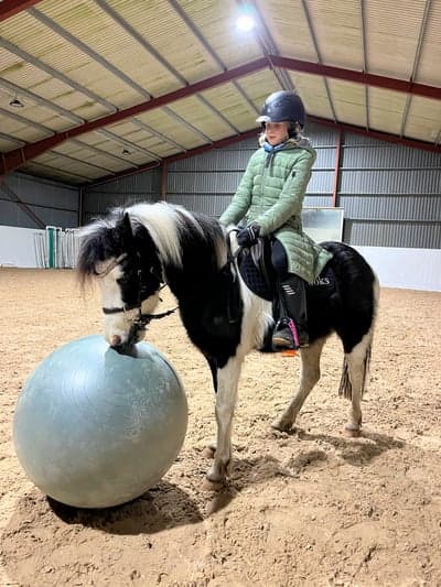 Inlägg 12 av Avel med titeln Miljöträning