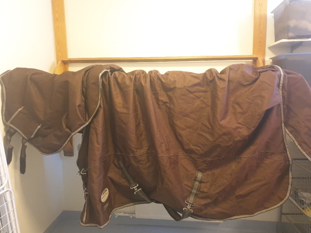 Image 1 of Brown rug