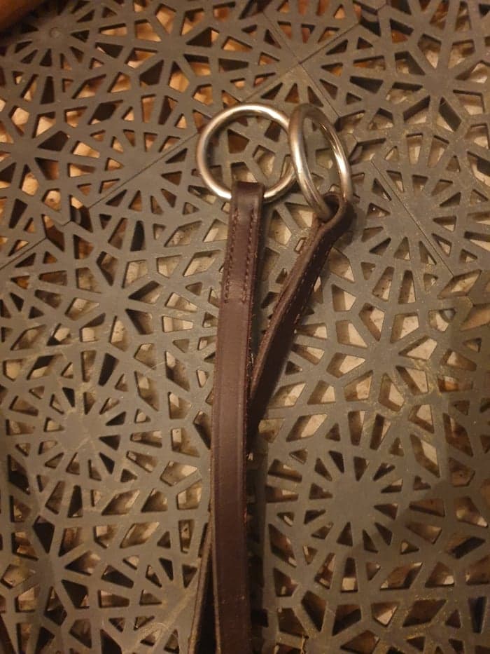 Media 4 of Broun martingal
