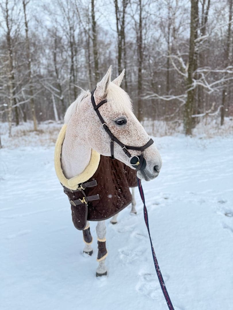 Bild 1 av Capitalistic Babe