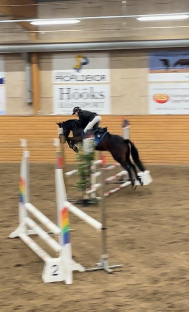 Media 7 av Rosscon May Leaf