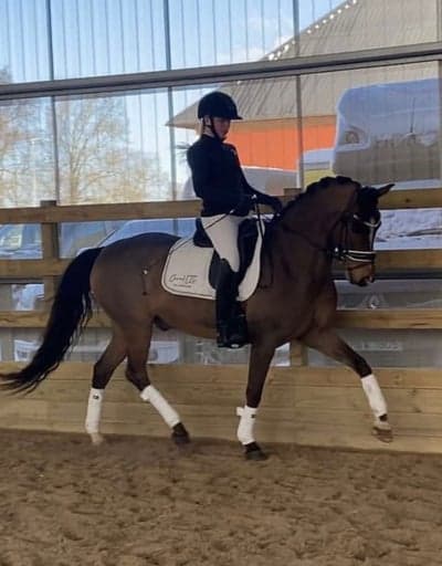 Inlägg 23 av Dressyr med titeln Första checken på bana inför 2023 ⭐️