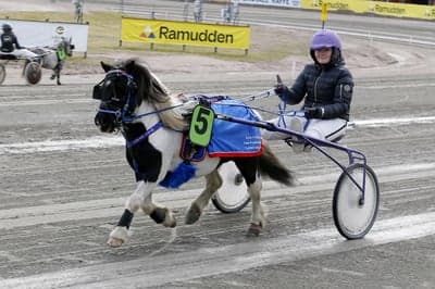 Inlägg 5 av Trav med titeln Ponnytrav 