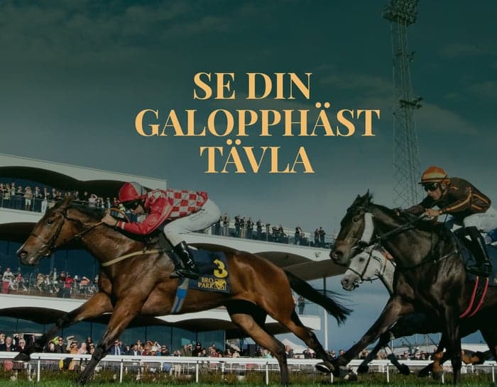 Media 2 av Hästägare för en dag på Bro Park Galopp
