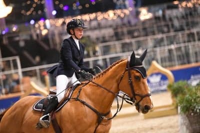 Post 1 of Selle Français with title 🇧🇪 