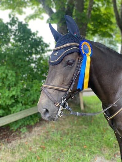 Inlägg 297 av Hoppning med titeln Våran tävlingsdebut