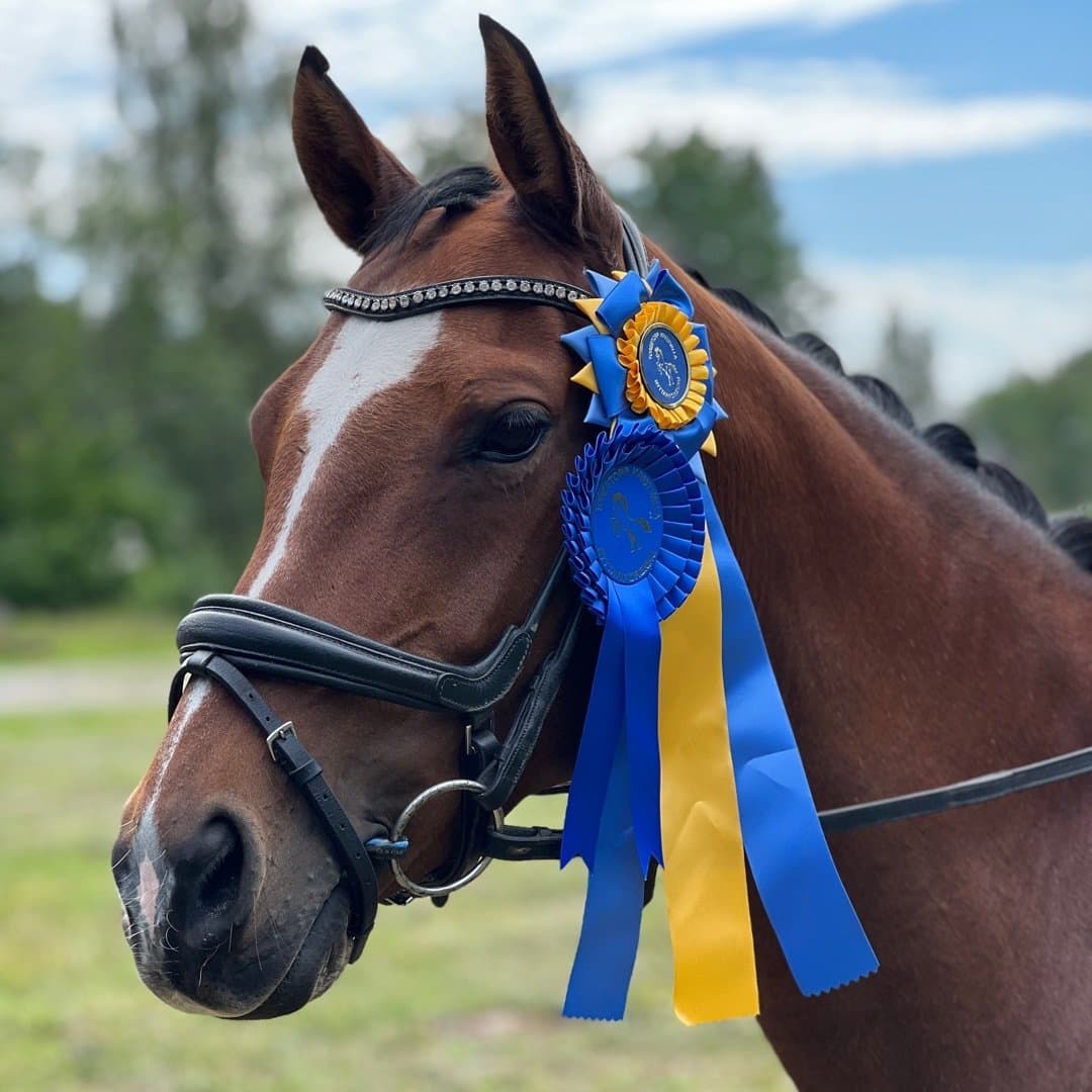 Image 1 of Elegant Girl