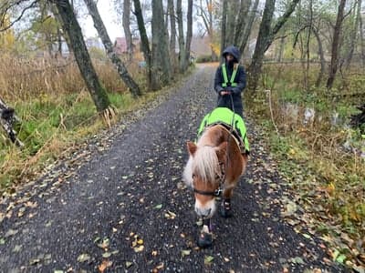 Inlägg 15 av Allround med titeln Tur jag inte är gjord av socker!