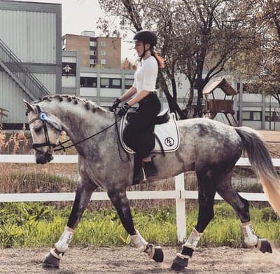 Ferrero v/h Breughelhof