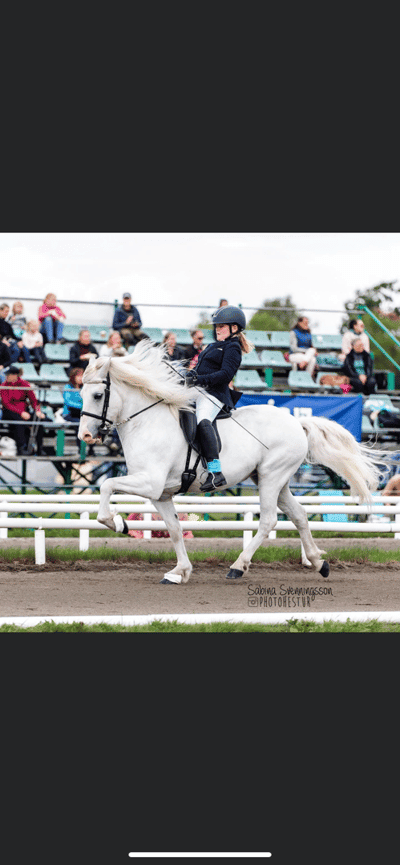 Kjarkur från Margaretehof