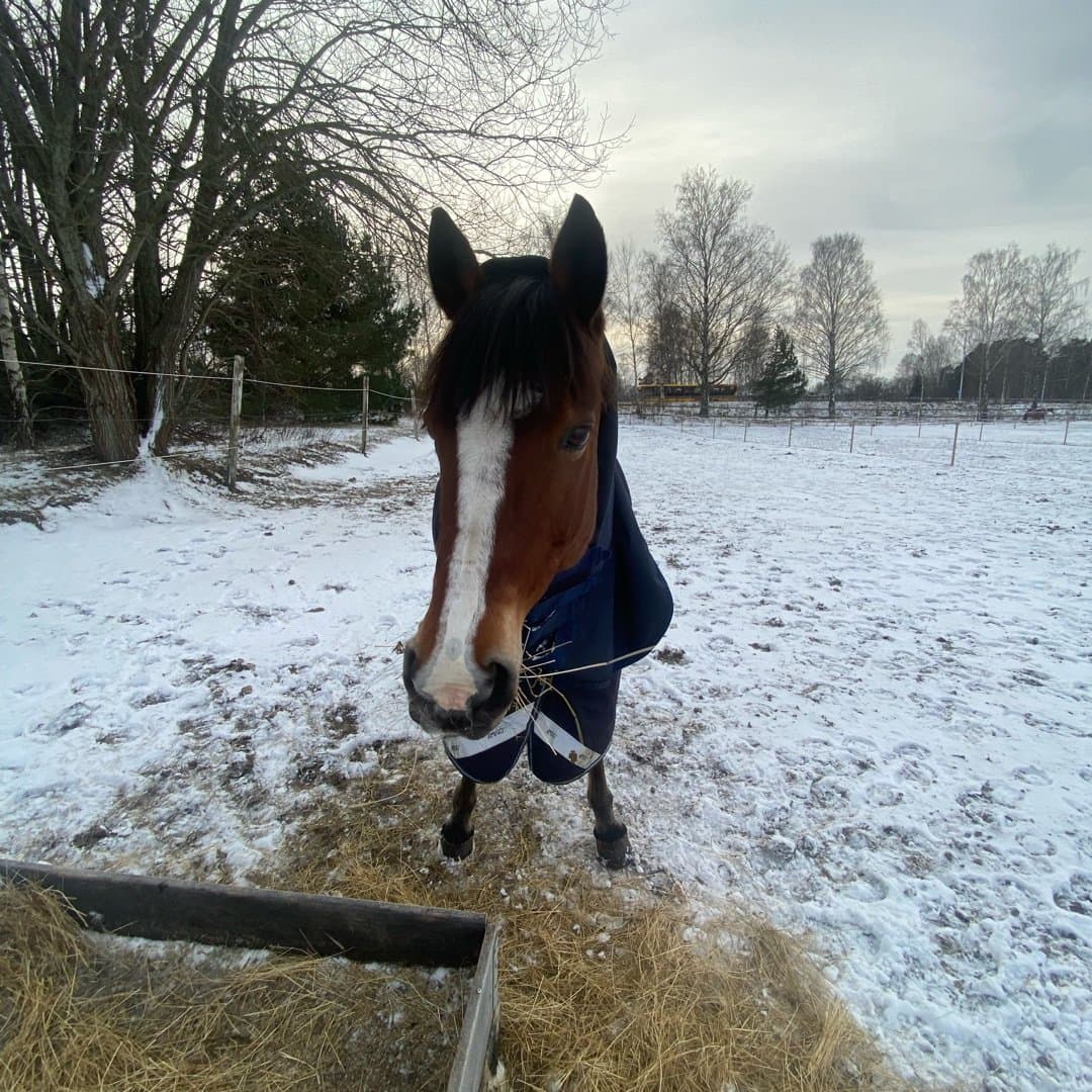 Bild 1 av placeholder text