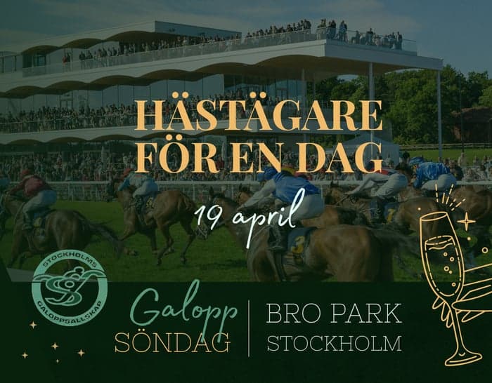Media 3 av Hästägare för en dag på Bro Park Galopp