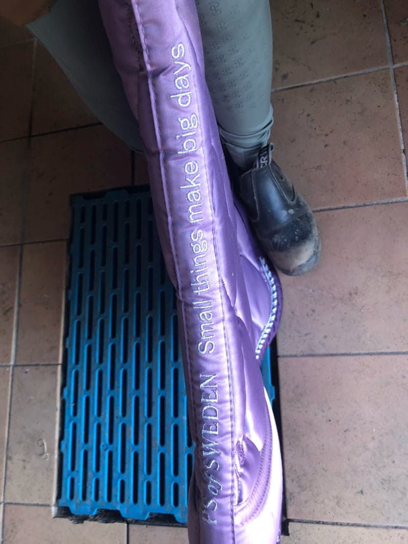 Bild 3 av Lila schabrak från Ps of Sweden 