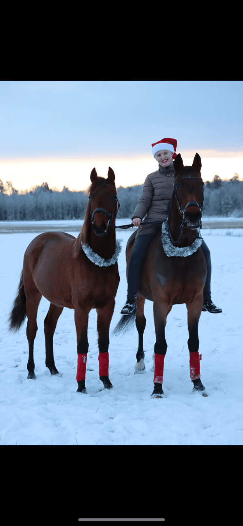 Profile picture of Emma Jälmefors