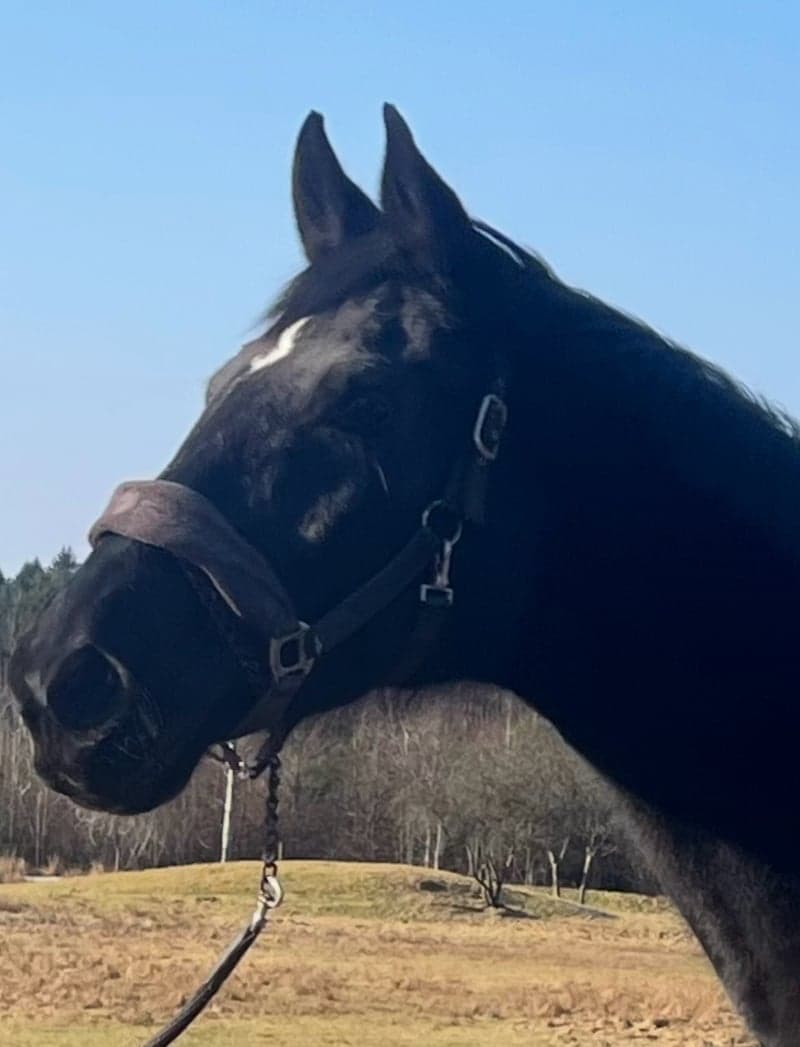 Bild 2 av Fine Design