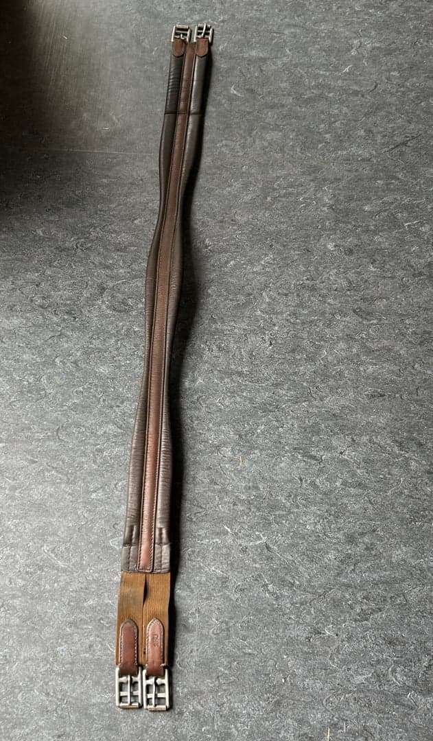 Media 1 av Brun sadelgjord