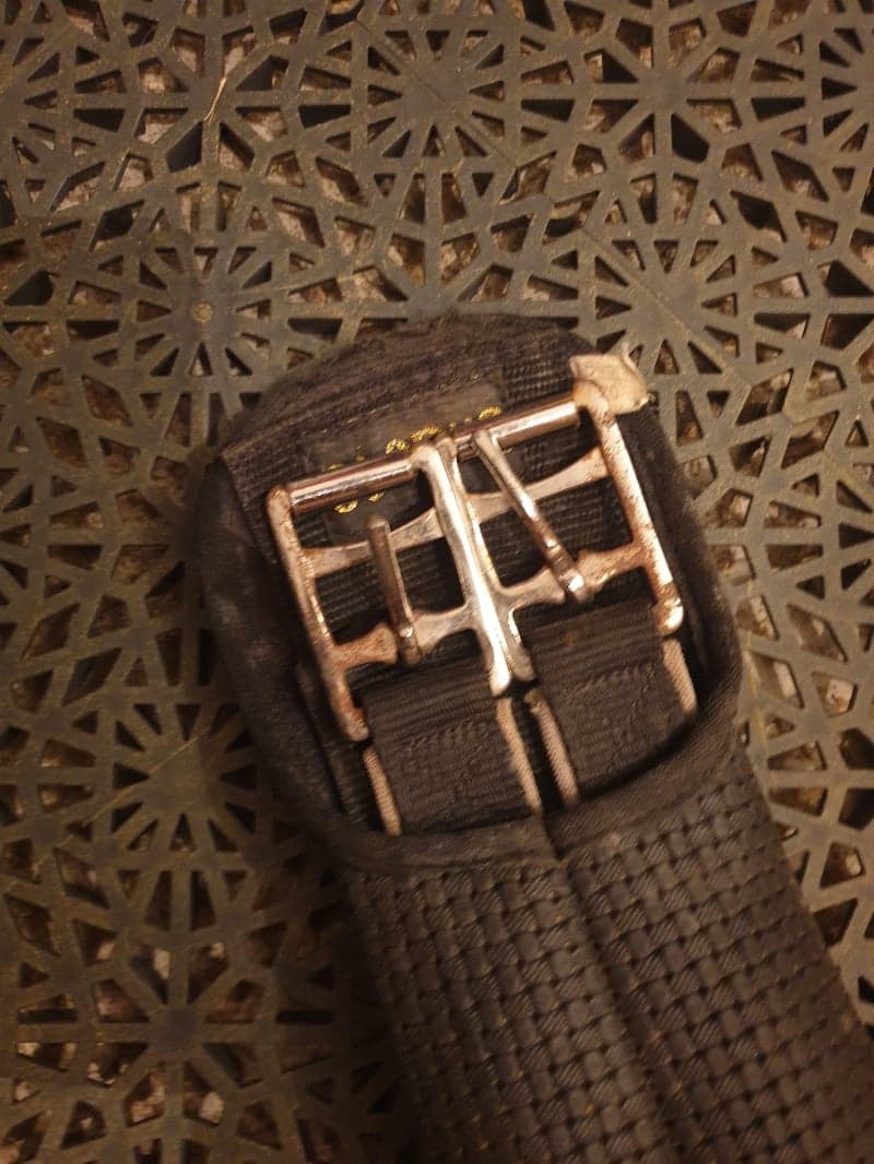 Bild 3 av Dressyrgjord